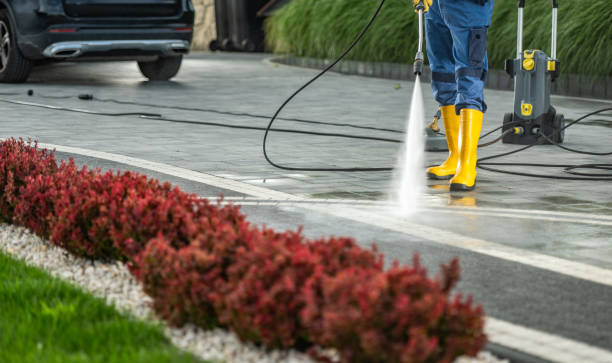 Professional Pressure Washing in Bear Creek, AL